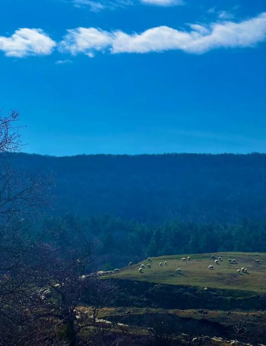 Квартиры стоят от&nbsp;$40,000. Нашли квартиры в&nbsp;Грузии, в&nbsp;которые можно переехать прямо сейчас