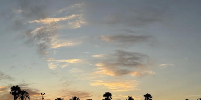 Работа в Испании для иностранцев: как устроиться, где искать вакансии и сколько можно заработать Работа в Испании для иностранцев: как устроиться, где искать вакансии и сколько можно заработать