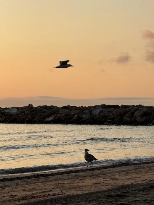 От уровня безработицы до индекса бигмака. Где в Европе молодежи лучше и хуже всего живется От уровня безработицы до индекса бигмака. Где в Европе молодежи лучше и хуже всего живется